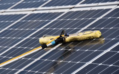 Article on LOCOMOTION in the Ecologist