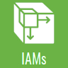 LOCOMOTION: IAMs