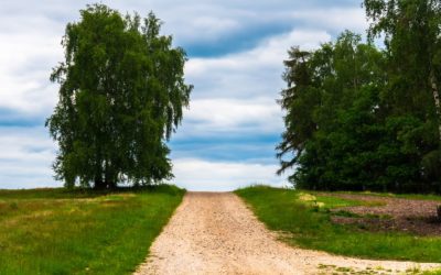 Second Locominar focuses on how to tackle uncertainties in uncertain times