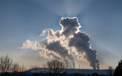 Carbon removal: Complementing or clouding climate action?