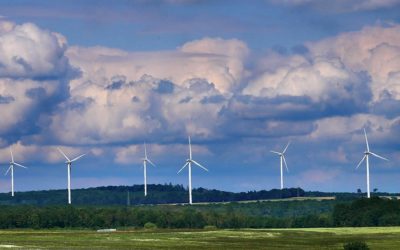 New LOCOMINAR! Five science-based tips for the EU’s green transition