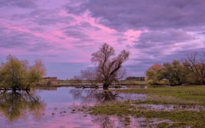 Climate Coffees event: Exploring synergies and trade-offs of policy interventions under the pressure of rapid climate change